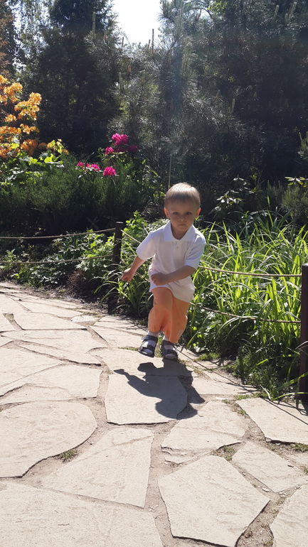 Прогулка в Аптекарский огород