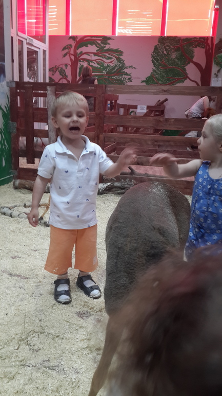 Контактный зоопарк (много фоток)