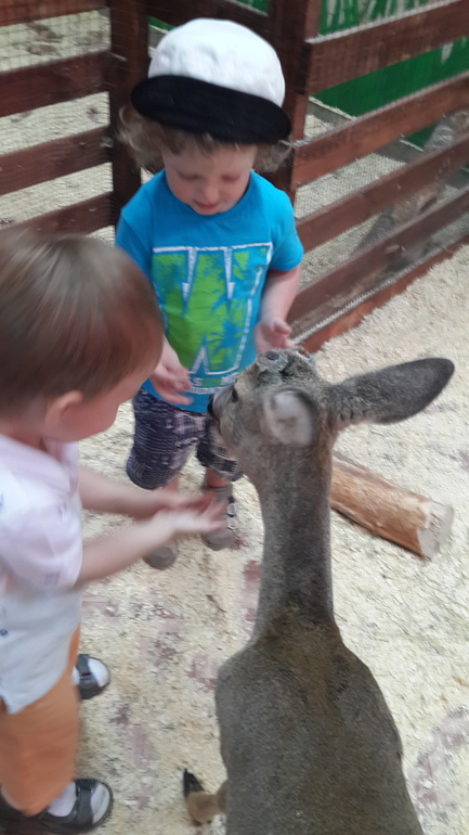 Контактный зоопарк (много фоток)