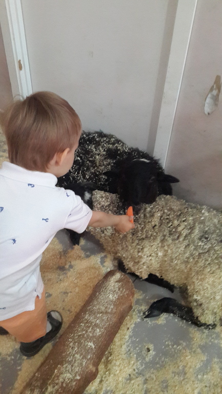 Контактный зоопарк (много фоток)