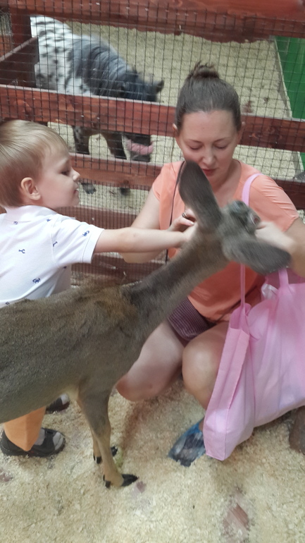 Контактный зоопарк (много фоток)