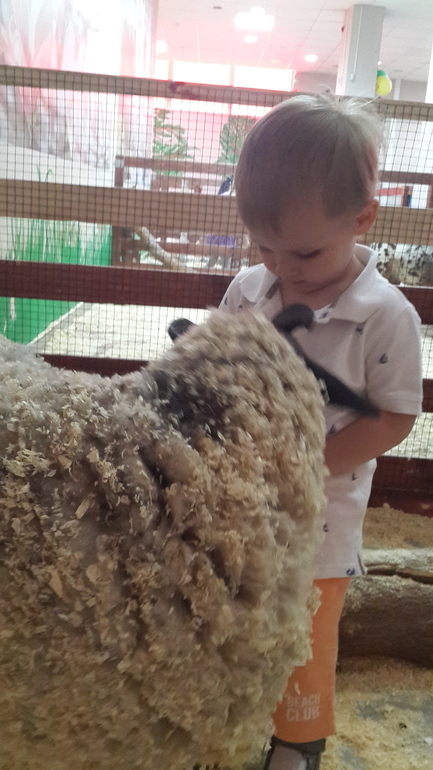 Контактный зоопарк (много фоток)