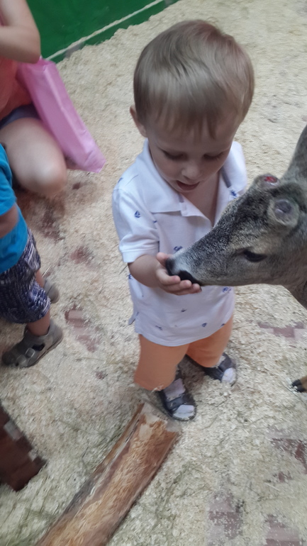 Контактный зоопарк (много фоток)