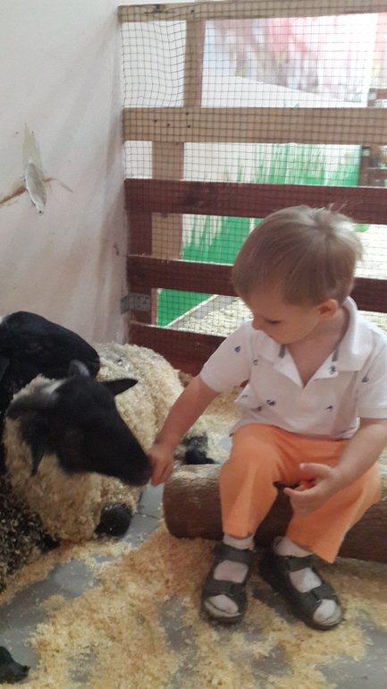 Контактный зоопарк (много фоток)