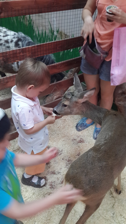 Контактный зоопарк (много фоток)