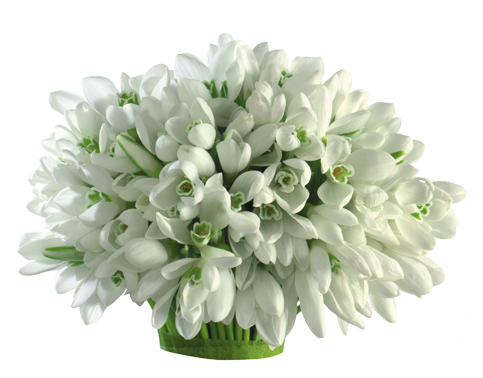 ce99fa95ebf3f74458aef0d4796aa7a3.png