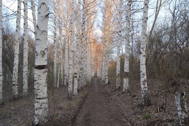 Пасха 2014. Поход