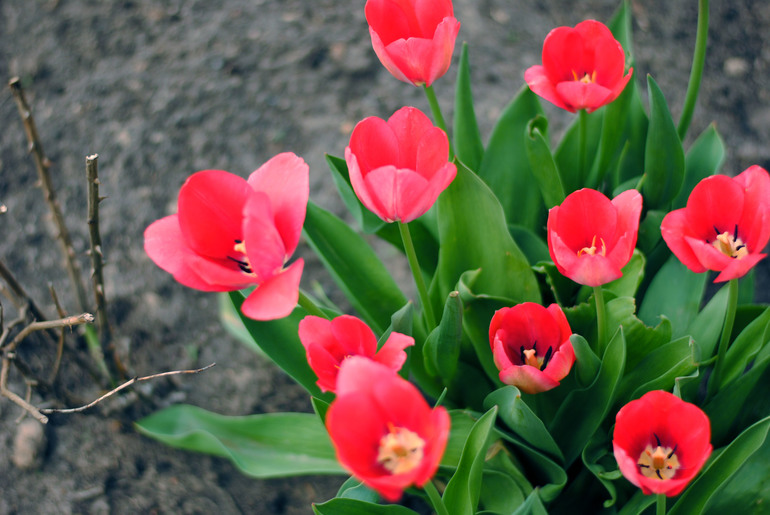 Первый шаг – самое простое и одновременно трудное…