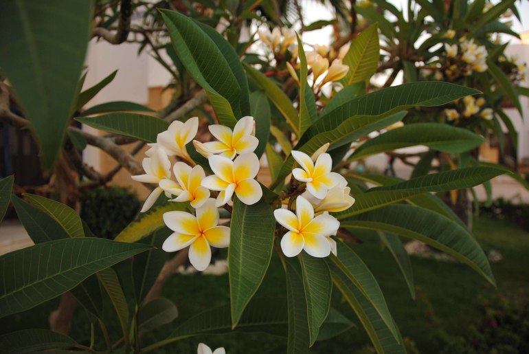 Контрольное задание № 6. Три способа цветокоррекций фотографий