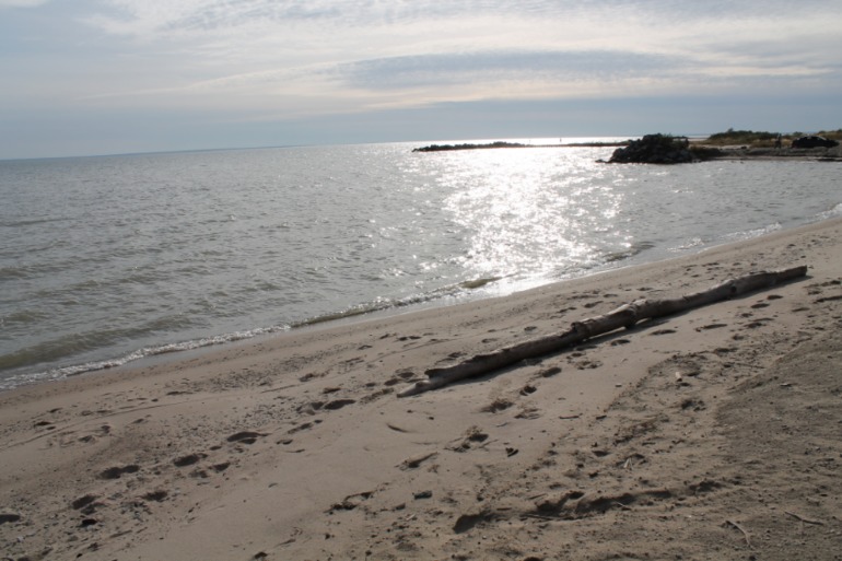 Солнечный выходной