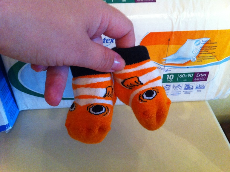 о том, как Новиковы готовились к прилёту аиста с ценным грузом.