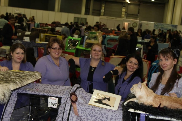 В преддверии одной из самых большых выставок