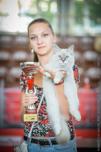 Мой мужчинка.