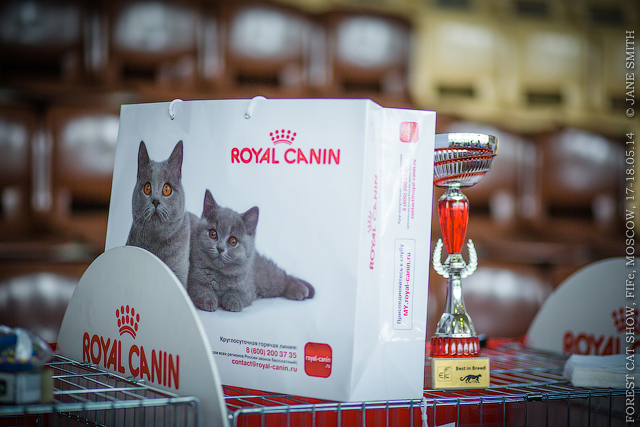 Мой мужчинка.