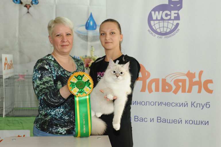 Хотим поделиться с Вами победами