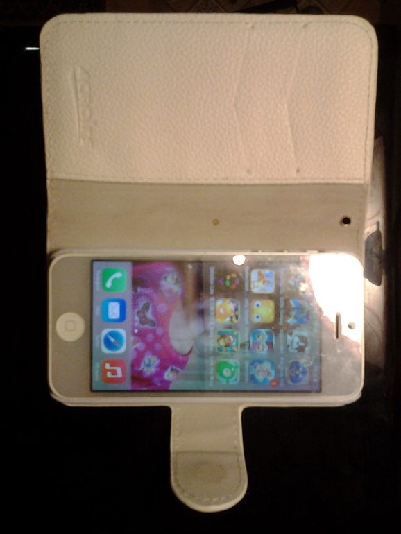 Алискин iphone 5