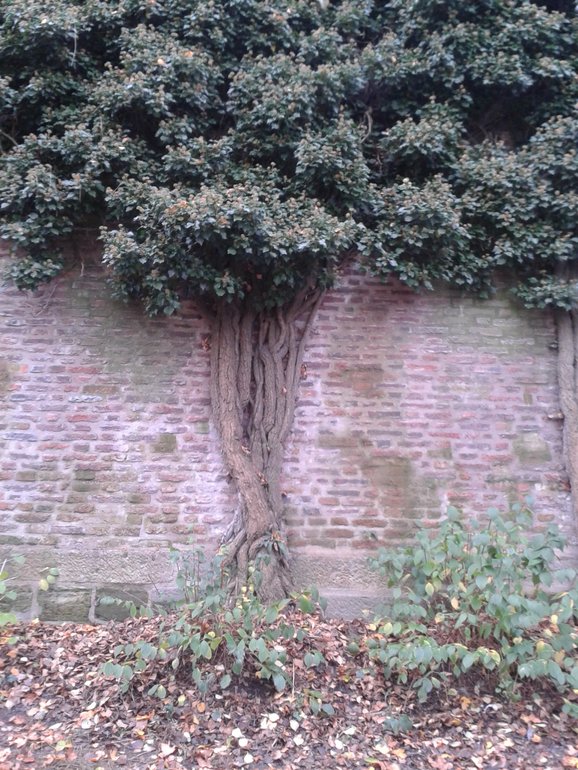 Наши каникула в Праге