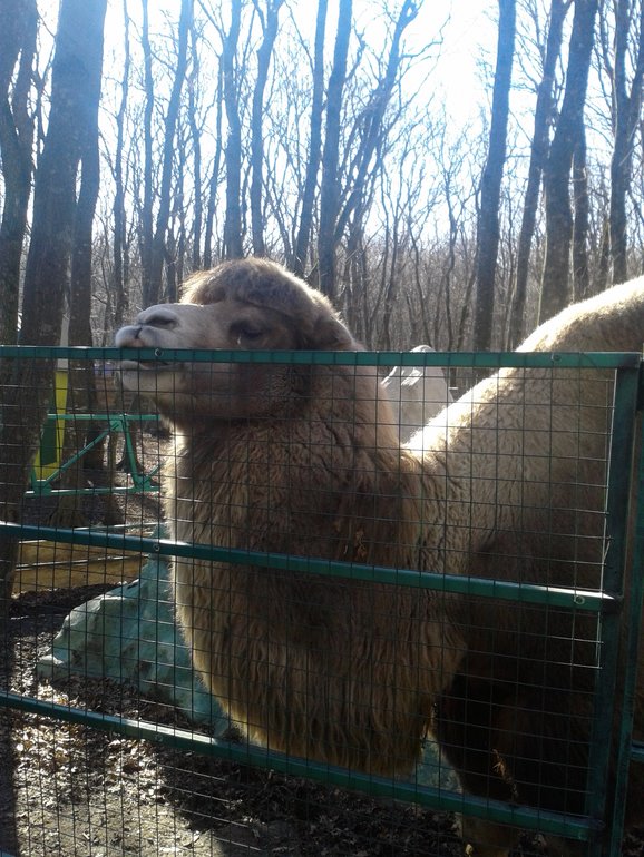 Наши выходные. Немного фото