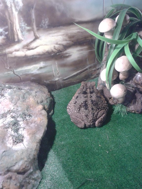 Наши выходные. Немного фото