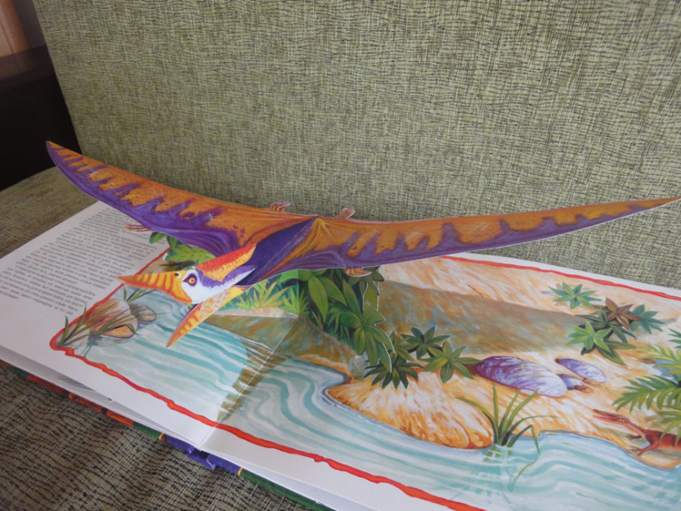 Книжное пополнение. Февраль