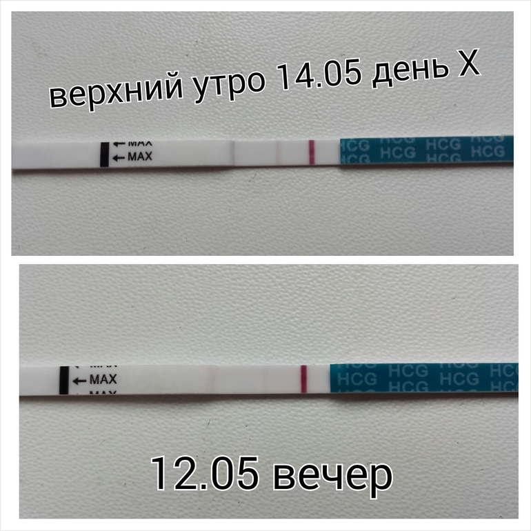 Сегодня день Х