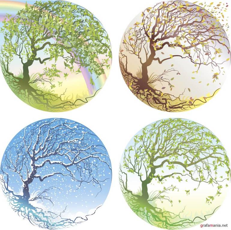 Отчеты. День№ 5.