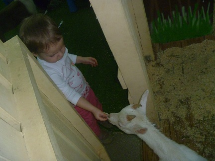 Поездка в контактный зоопарк в будний день