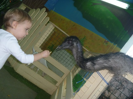 Поездка в контактный зоопарк в будний день