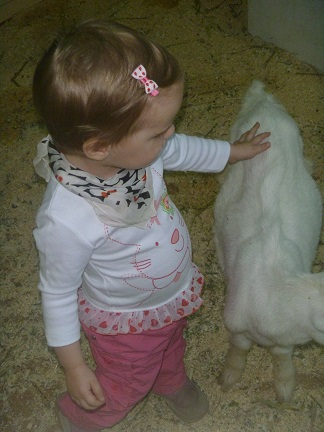 Поездка в контактный зоопарк в будний день