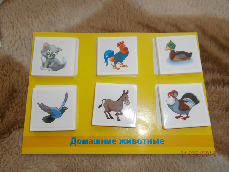 ТЗ Утка и Гусь