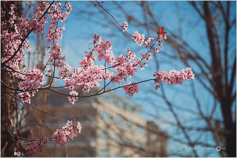 Eskişehir. Эскишехир