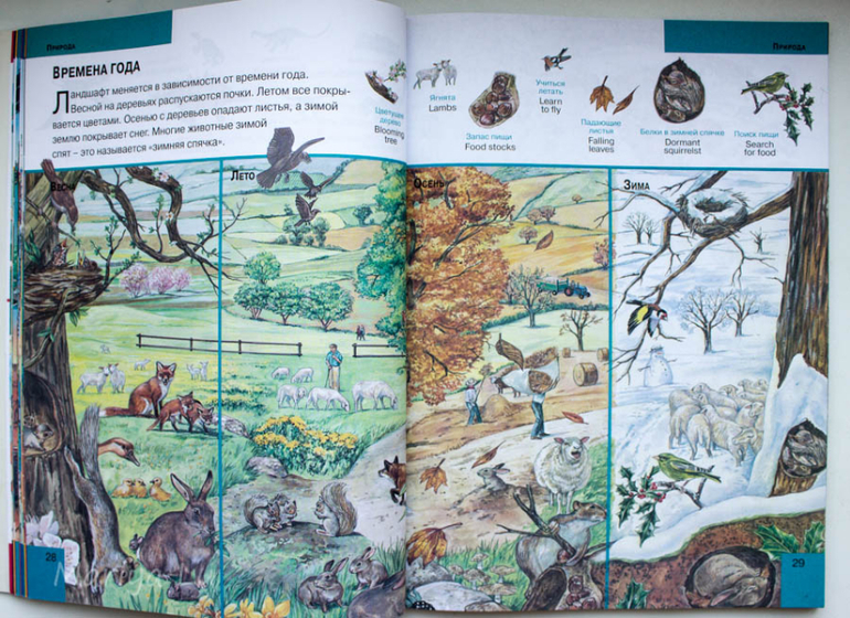 Еще одна бюджетная искалка.