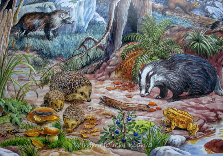 Wimmelbuch mania. Anne Suess. Ч.1