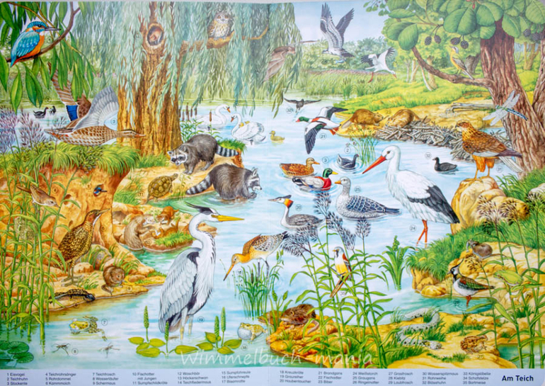 Wimmelbuch mania. Anne Suess. Ч.1