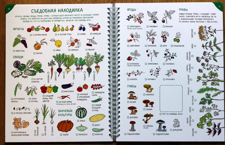 День рождения, дни недели и летние "Занималки"