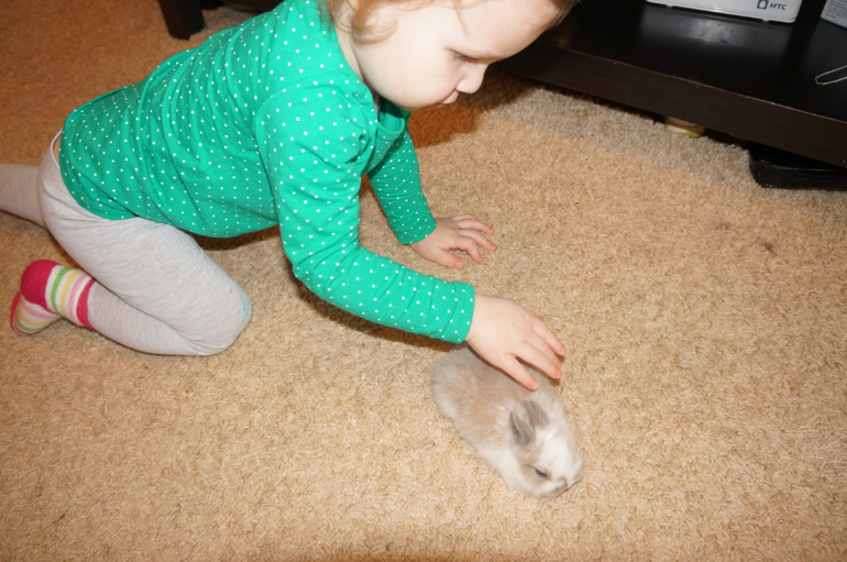 Вот что мы выбрали в подарок Майе)