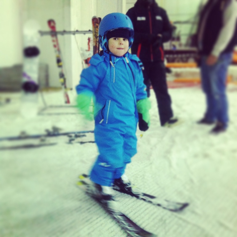 Горные лыжи