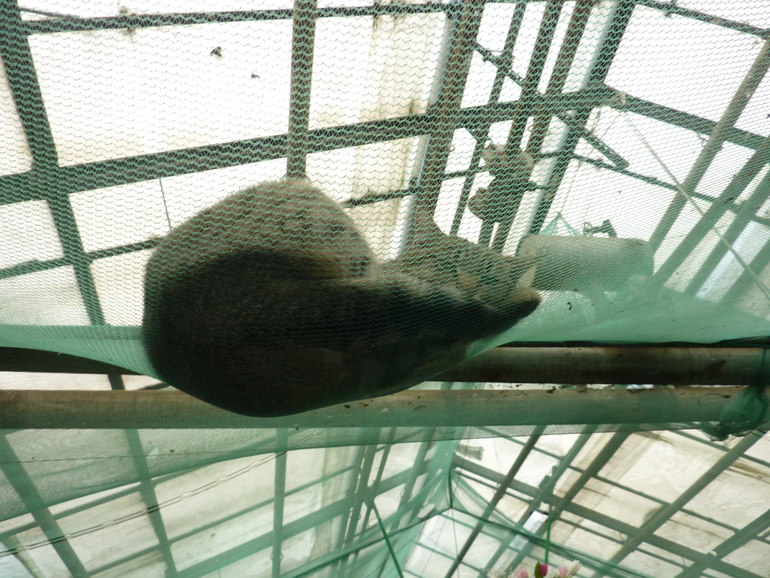 Экскурсия в совхоз