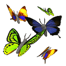 20a157a7084bb97687e6fa06301cdb32.gif