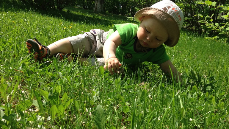 Не захотел ходить