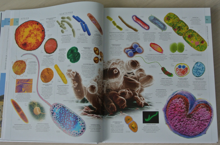 Наша библиотека - часть 31