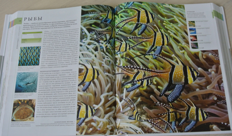 Наша библиотека - часть 31