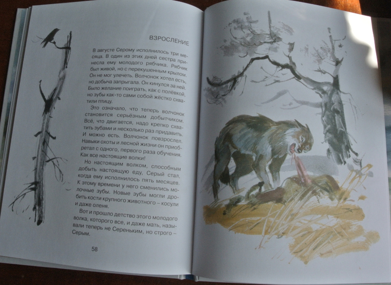 Наша библиотека - часть 28