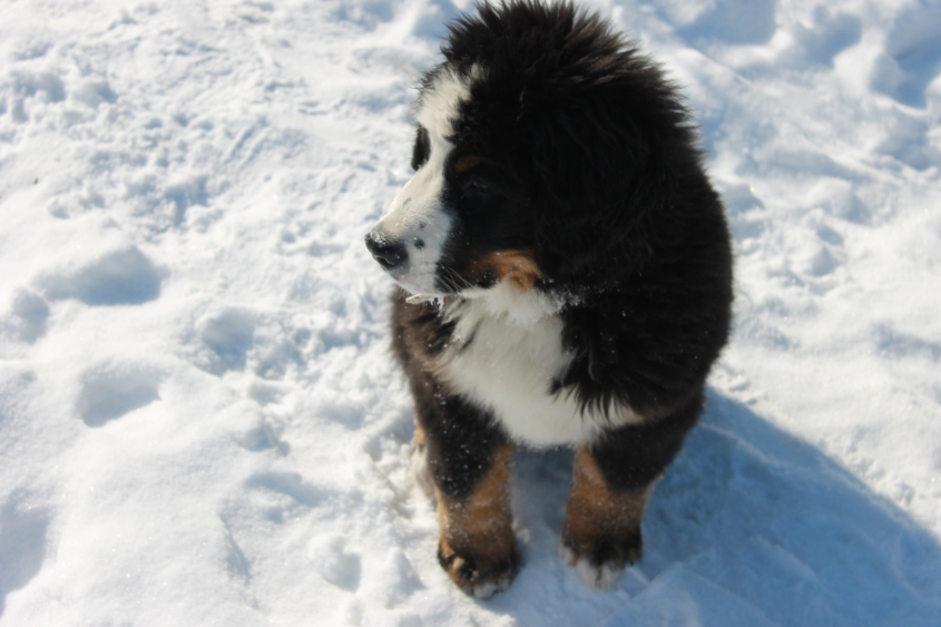 Ричард и все все все)))