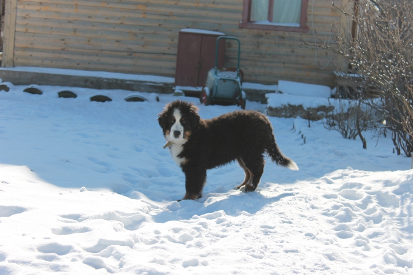 Ричард и все все все)))