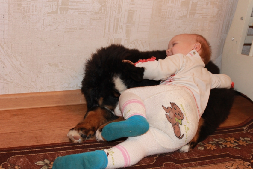 Ричард и все все все)))