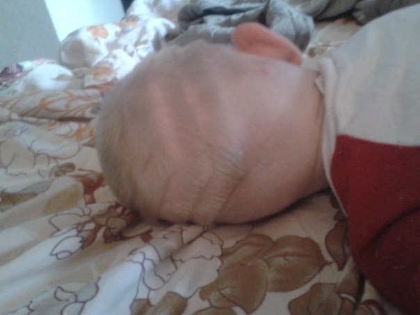 Рост и стрижка