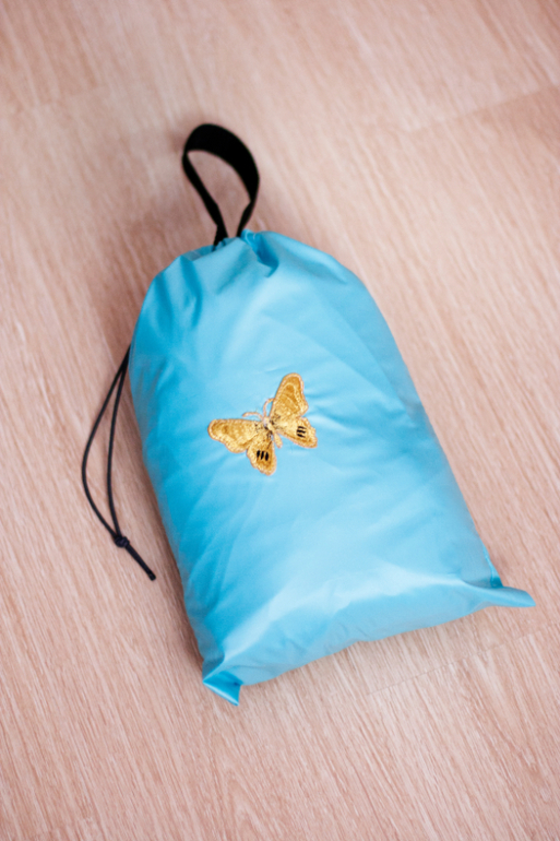 Манеж в поезд