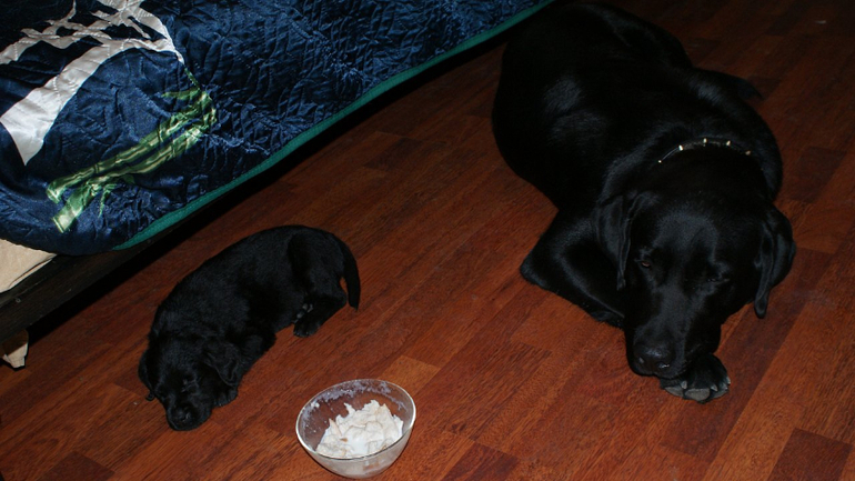 решила вспомнить))