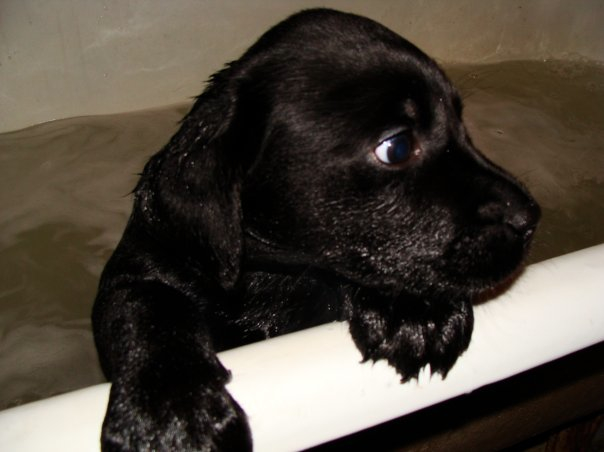 решила вспомнить))